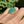 Load image into Gallery viewer, 2nd Payment Bold 14K Gold Cabochon Green Chrysoprase Ring - Boylerpf
