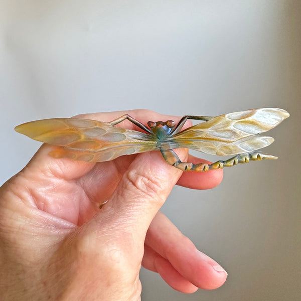 Antique Art Nouveau Carved Horn Dragonfly Brooch - Boylerpf