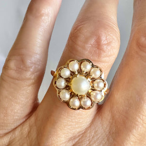 Vintage Gold Scallop Edge Pearl Cluster Ring - Boylerpf