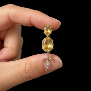 Antique Victorian Silver Haley's Comet Citrine Brooch - Boylerpf
