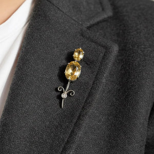 Antique Victorian Silver Haley's Comet Citrine Brooch - Boylerpf