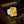 Load image into Gallery viewer, Maria Margoni Heliodor Yellow Beryl 18K Gold Ring

