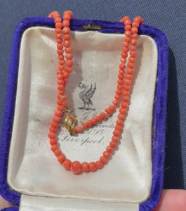 Antique Mediterranean Coral Victorian Necklace - Boylerpf