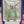 Load and play video in Gallery viewer, Antique Jade Teardrop Earrings in 9K Gold
