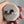 Load and play video in Gallery viewer, Southwestern Sugilite Opal Onyx Ring, Sterling Silver 7.5
