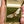 Load and play video in Gallery viewer, Antique French Art Nouveau Carved Horn Bee Brooch - Boylerpf
