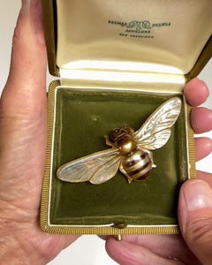 Antique French Art Nouveau Carved Horn Bee Brooch - Boylerpf