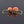 Load image into Gallery viewer, Antique Victorian 14K Gold Dormeusse Coral Earrings - Boylerpf
