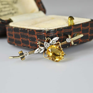 Antique Seed Pearl Citrine Insect Victorian Brooch - Boylerpf