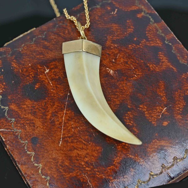 Antique 18K Gold Boars Tusk Pendant Necklace - Boylerpf