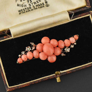 Antique Victorian Seed Pearl Natural Coral Brooch - Boylerpf