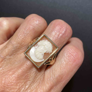 Finely Carved Cameo 14K Gold Mens Ring, Sz 10.25 - Boylerpf