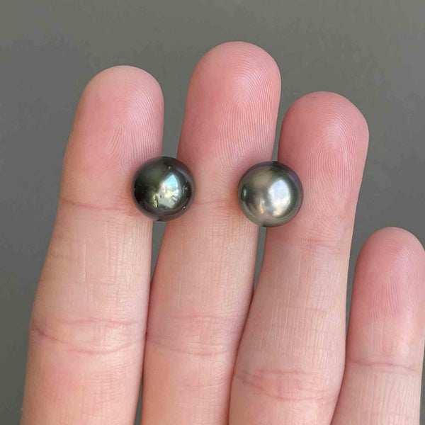 14K Gold Black Pearl Stud Earrings - Boylerpf