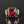 Load image into Gallery viewer, Vintage Mens Ruby Signet Ring in Gold - Boylerpf
