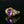 Load image into Gallery viewer, Victorian Style Cabochon Amethyst Seed Pearl Ring - Boylerpf
