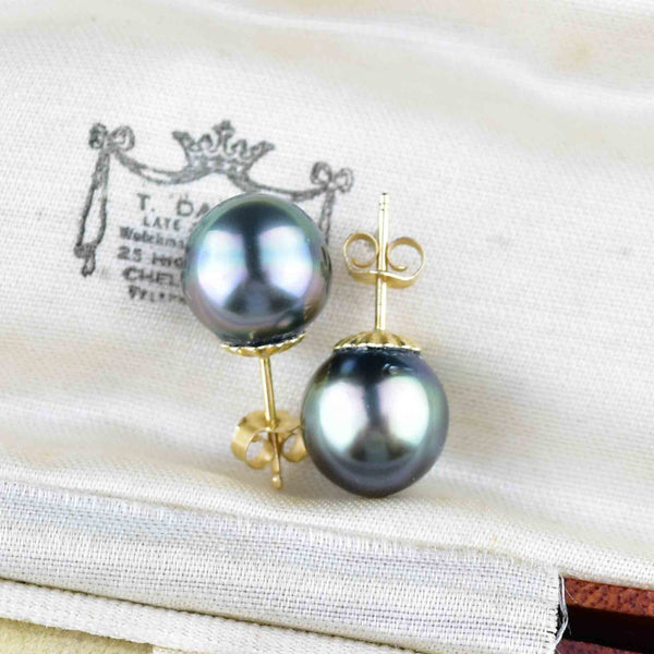 14K Gold Black Pearl Stud Earrings - Boylerpf