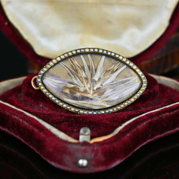 Antique 14K Gold Feather Pearl Eye Brooch Pendant - Boylerpf
