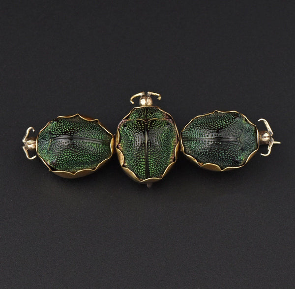 Antique Victorian 14K Gold Scarab Beetle Brooch - Boylerpf