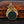 Load image into Gallery viewer, Antique Victorian 15K Gold Spinner Watch Fob, Bloodstone Carnelian - Boylerpf
