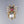 Load image into Gallery viewer, Diamond Sapphire Ruby Mabe Pearl Insect Brooch, 14K Gold - Boylerpf
