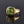 Load image into Gallery viewer, Edwardian Green Chalcedony Date Gold Signet Ring - Boylerpf
